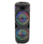 TTD-1515 15.5\'\'x2 Безжична колона говорител субуфер