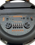 TTD-1515 15.5\'\'x2 Безжична колона говорител субуфер