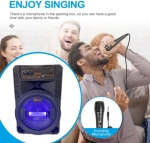 Портативна Караоке тонколона 8\' инча ТТD-8245 с жичен микрофон