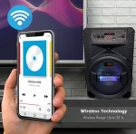 Портативна Караоке тонколона 8\' инча ТТD-8245 с жичен микрофон