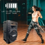 Портативна Караоке тонколона 8\' инча ТТD-8245 с жичен микрофон