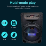 Портативна Караоке тонколона 8\' инча ТТD-8245 с жичен микрофон