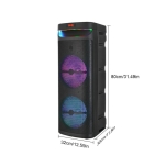 Караоке тонколона инча CH-1021 10\"x2 | 40W, LED RGB, Микрофон