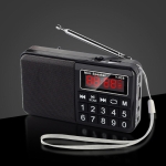 L668 Преносимо радио с Bluetooth колонка, FM радио, USB, TF карта и AUX