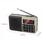 L668 Преносимо радио с Bluetooth колонка, FM радио, USB, TF карта и AUX