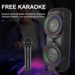 ZQS10206 / 10209 Подвижна Двойна Караоке 2x12\'\' Sing-e 50W тонколона+ безжичен микрофон