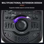 ZQS15201 Мощна Bluetooth Караоке Тонколона Sing-e , 100W, 2 x 15\", RGB LED, TWS, FM, USB, TF, 2 Безжични Микрофона